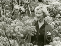 TIFF Cinematheque Presents - Films from Iceland