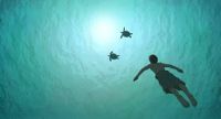 Film Review: The Red Turtle