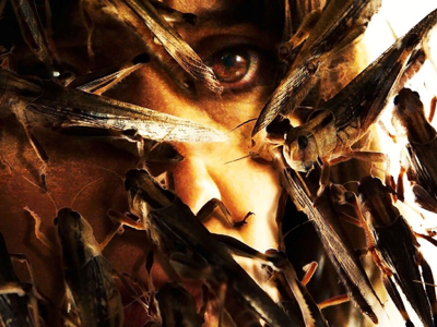 Film Review: La Nuée (The Swarm)
